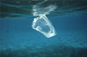 plasticamare